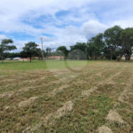 Loteamento Residencial no Condomínio Vila Pinhal do Broa