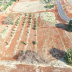 Terreno à venda em Vila do Golf, Ribeirão Preto, SP