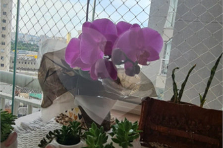 Apartamento à venda com 2 quartos, sendo 1 suíte,  em Barra Funda, São Paulo, SP