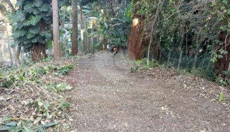 Terreno à venda com 1 suíte em Alto da Boa Vista, São Paulo, SP