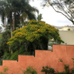 Casa à venda ou para alugar com 4 quartos, sendo 3 suítes, em Jardim Leonor, São Paulo, SP