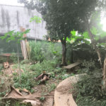 Casa à venda com 3 quartos, sendo 1 suíte, em Tremembé, São Paulo, SP