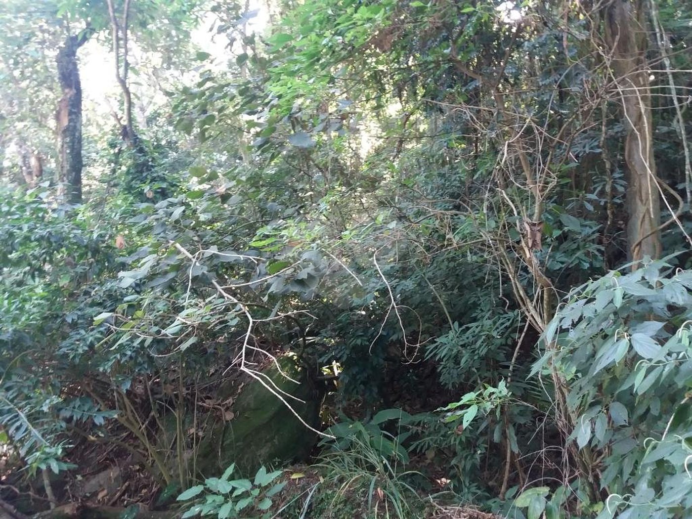 Terreno à venda em Tremembé, São Paulo, SP