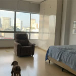 Edifício Louvre | Apartamento Neoclássico de 425m² à Venda na Praça da República — Centro de São Paulo