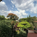 Sobrado à venda com 3 quartos, sendo 1 suíte, em Tucuruvi, São Paulo, SP