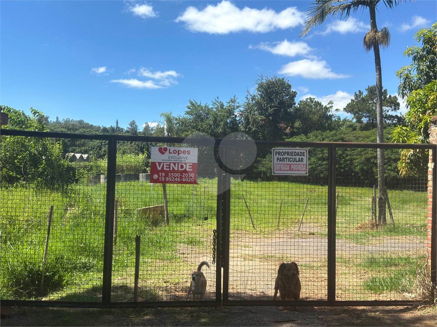 Área de Terra à venda com 1 quarto em Capivari, Louveira, SP