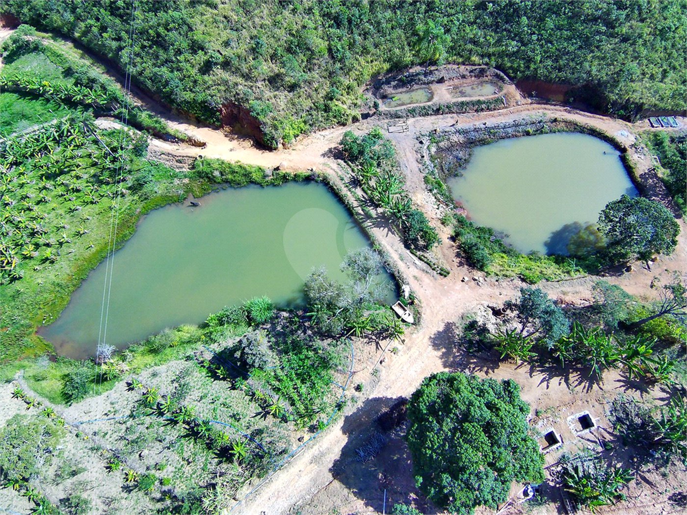 Fazenda à venda com 11 quartos, sendo 8 suítes, em Lavras Novas, Ouro Preto, MG