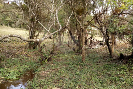 Sítio à venda com 6 quartos no Centro, Mogi das Cruzes, SP