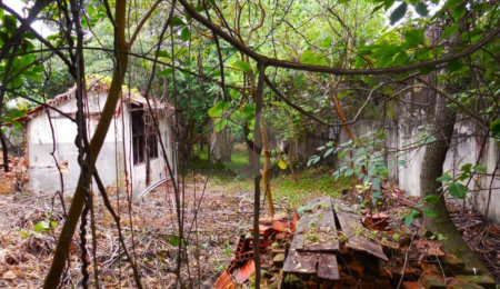 Terreno à venda em Alto da Boa Vista, São Paulo, SP