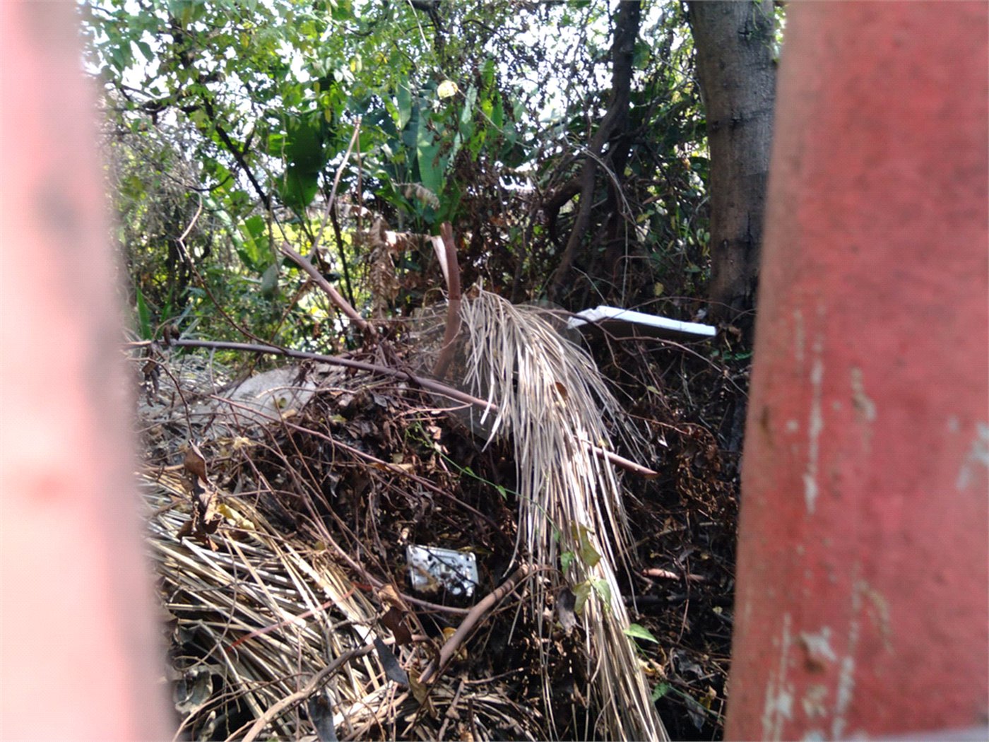 Terreno à venda em Santana, São Paulo, SP