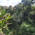 Chácara à venda com 3 quartos em Parque Alvorada, Suzano, SP