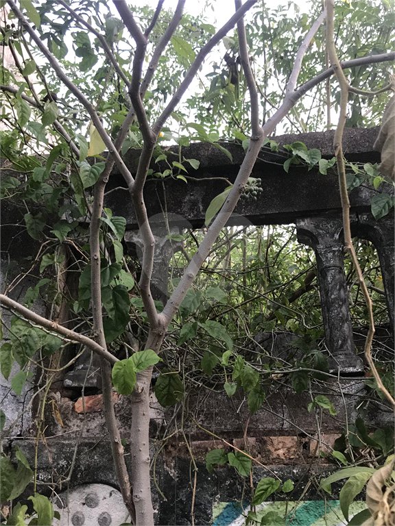 Terreno à venda em Água Fria, São Paulo, SP