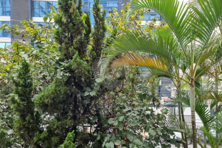 Apartamento à venda com 3 quartos, sendo 1 suíte, em Liberdade, São Paulo, SP