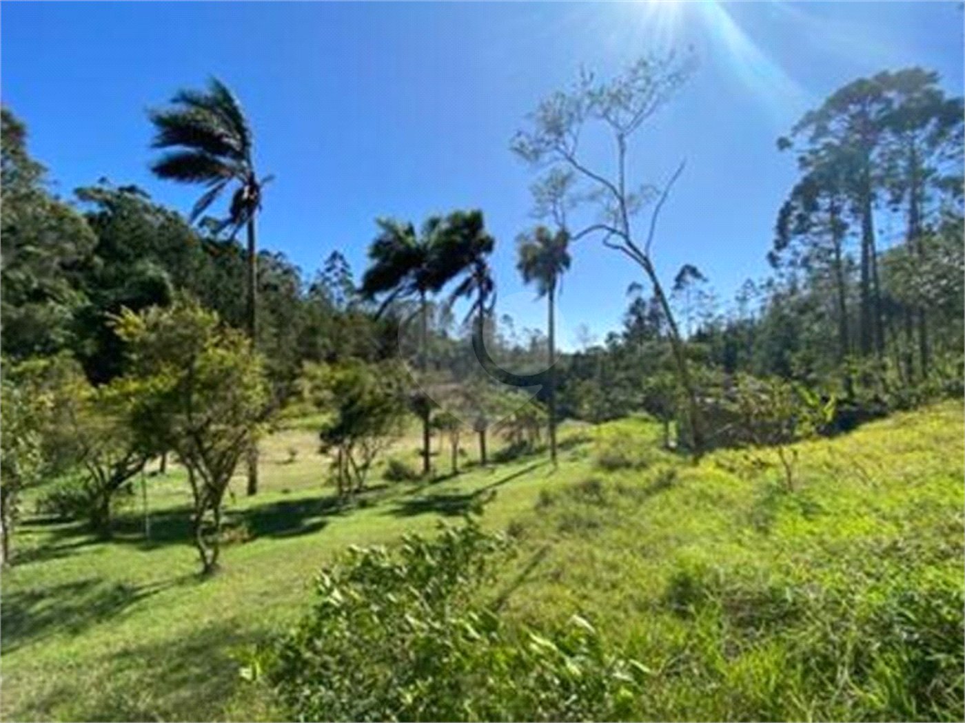 Sítio à venda com 2 quartos, sendo 1 suíte, em Ibiúna, Ibiúna, SP