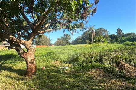 Terreno à venda em Pedro Juan Caballero, Amambay