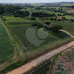 Sítio à venda com 2 quartos em Mirim, Indaiatuba, SP