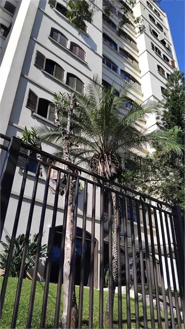 Apartamento à venda com 3 quartos, sendo 1 suíte, em Vila Progredior, São Paulo, SP