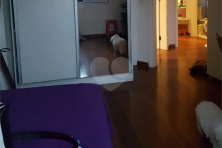 Apartamento à venda com 3 quartos, sendo 1 suíte, em Jardim São Paulo(zona Norte), São Paulo, SP