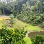Vende-se chácara com lago Nazare Paulista com 3.000 m²