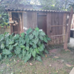 Terreno à venda em Tucuruvi, São Paulo, SP