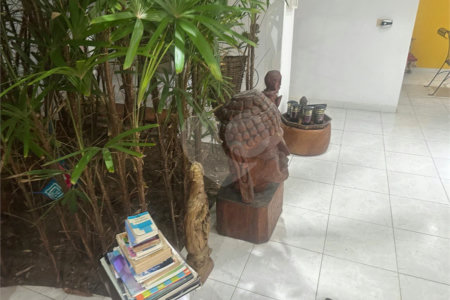 Casa à venda com 5 suítes em Barra da Tijuca, Rio de Janeiro, RJ