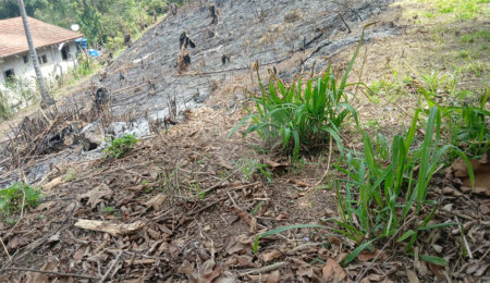 Terreno à venda em Rio Acima, Mairiporã, SP