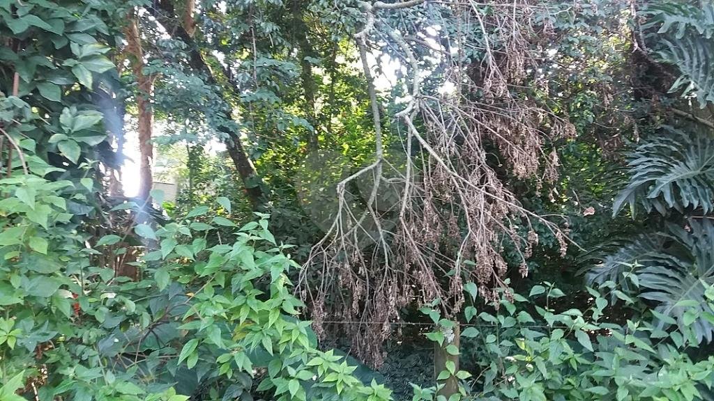 Terreno à venda em Tremembé, São Paulo, SP