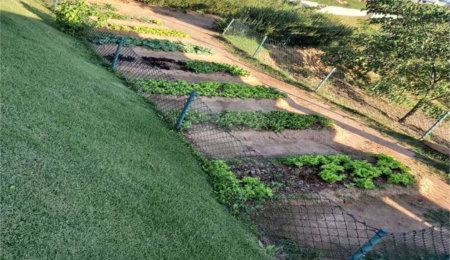Terreno à venda no condomínio Ecologie Itatiba, Itatiba - SP