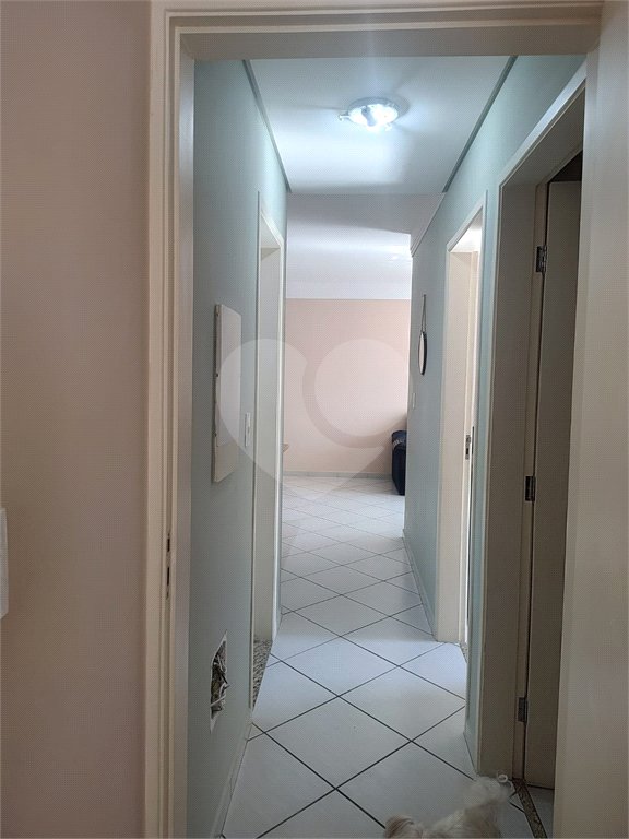 Apartamento à venda com 3 quartos, sendo 1 suíte, em Jardim Piratininga, Sorocaba, SP