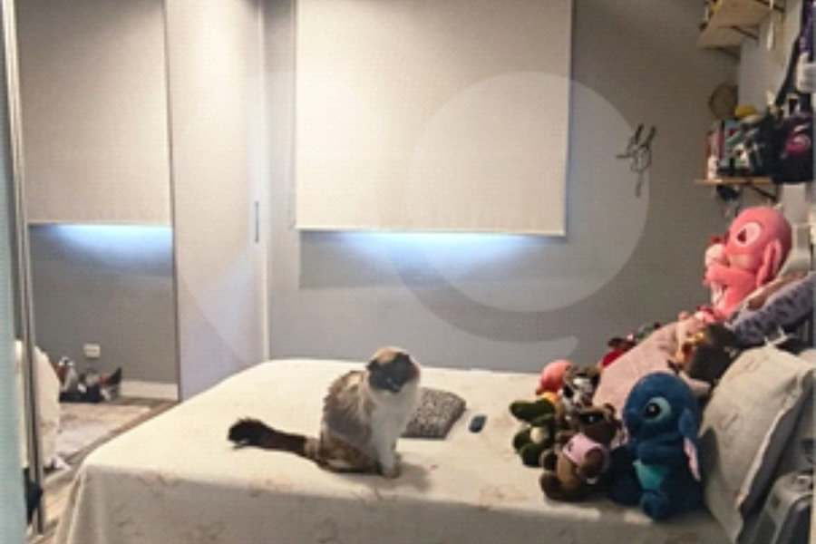 Sobrado à venda com 3 quartos, sendo 1 suíte, em Vila Prudente, São Paulo, SP