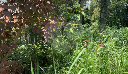 Terreno à venda em Roseira, Mairiporã, SP