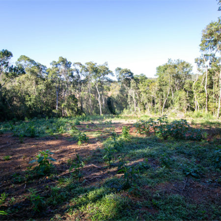 Terreno à venda no Centro (canguera), São Roque, SP