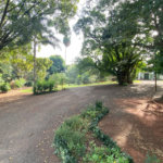 Terreno à venda com 1 suíte no Centro, Araraquara, SP