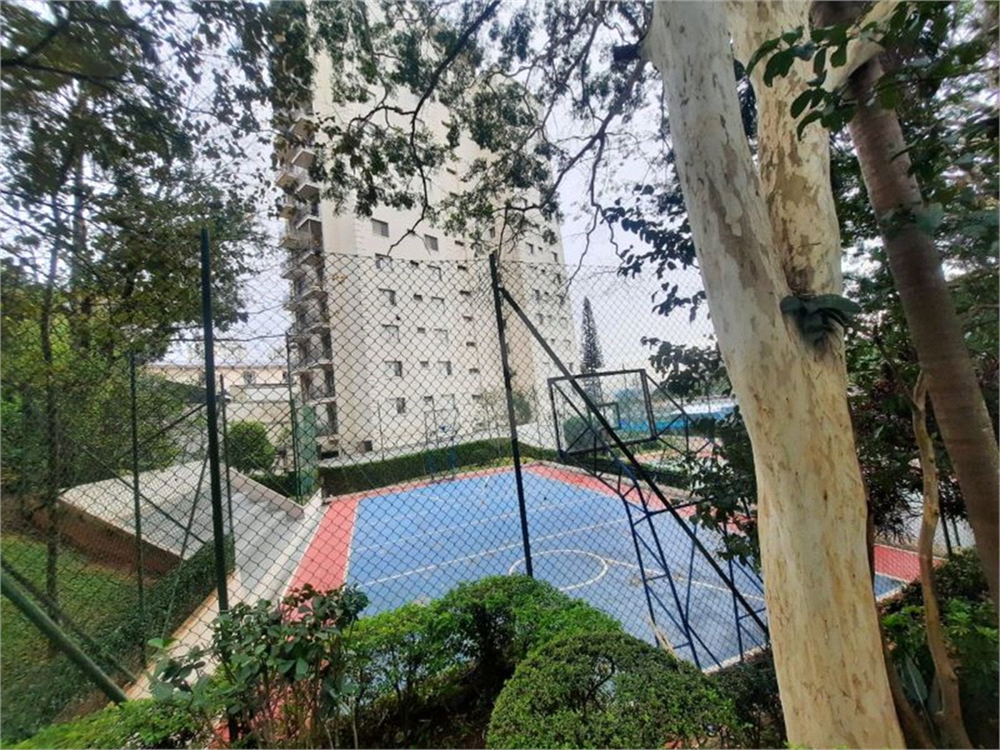 Apartamento à venda com 3 quartos em Jardim Esmeralda, São Paulo, SP