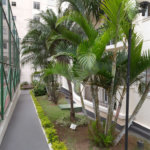 Apartamento à venda com 3 quartos em Jardim Vergueiro (sacomã), São Paulo, SP
