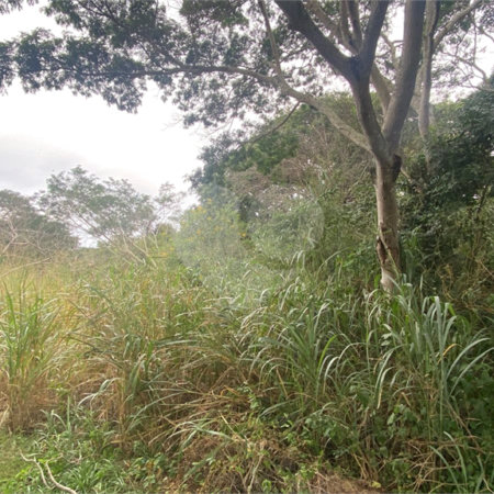 Terreno à venda em Ferradura, Armação dos Búzios, RJ