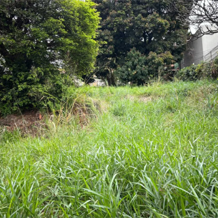 Terreno à venda em Santa Teresinha, São Paulo, SP