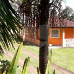 Chácara à venda com 8 quartos, sendo 3 suítes, no Centro, Toledo, MG