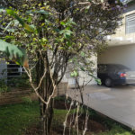 Sobrado à venda com 3 quartos, sendo 1 suíte, em Chácara Santo Antônio (zona Sul), São Paulo, SP