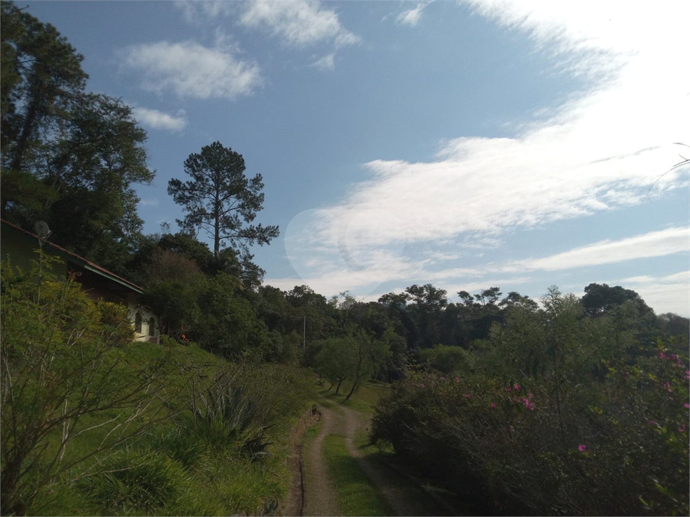 Sítio à venda em Chácara São João, Campo Limpo Paulista, SP