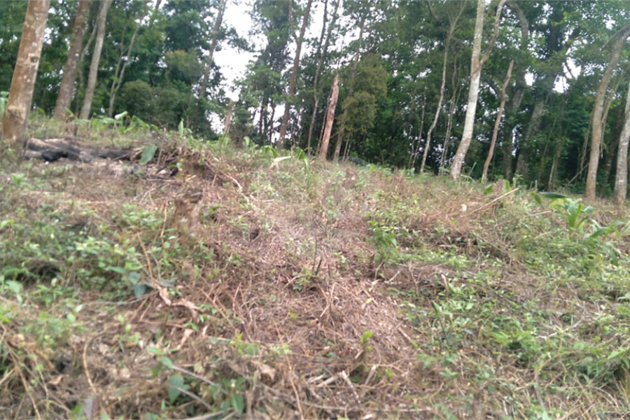 Terreno à venda em Jardim Atalaia, Cotia, SP