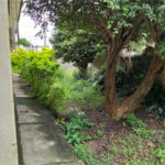 Terreno à venda em Tremembé, São Paulo, SP