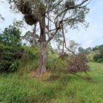 Terreno à venda em Jardim Monte Santo, Itapetininga, SP