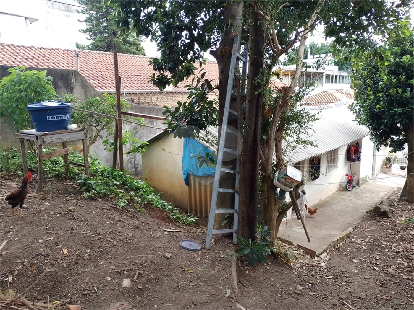 Terreno à venda com 1 quarto em Jaçanã, São Paulo, SP