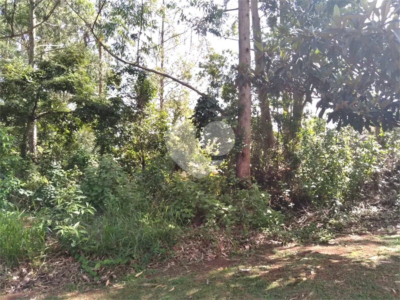 Terreno à venda no condomínio Suíça da Cantareira, Mairiporã - SP