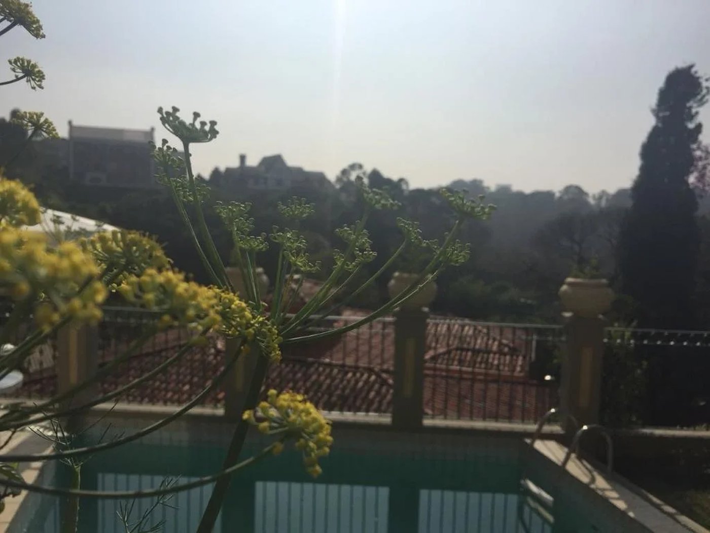 Casa à venda com 5 quartos, sendo 4 suítes, no condomínio Jardim Vitória Régia, São Paulo - SP
