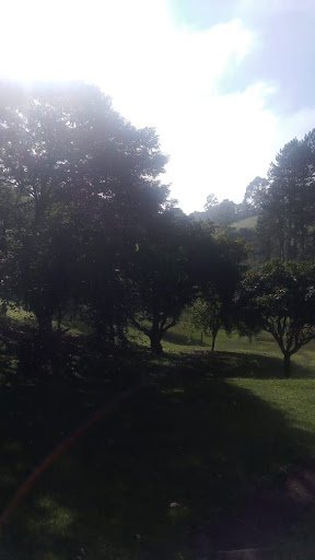 Sítio com 10 dormitórios à venda, 120000 m² por R$ 1.650.000,00 - Bairro Carmo Messias - Ibiúna/SP