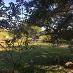 Terreno à venda em Chaperó, Itaguaí, RJ