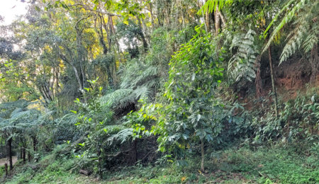 Terreno à venda no condomínio Itatiaia, Mairiporã - SP