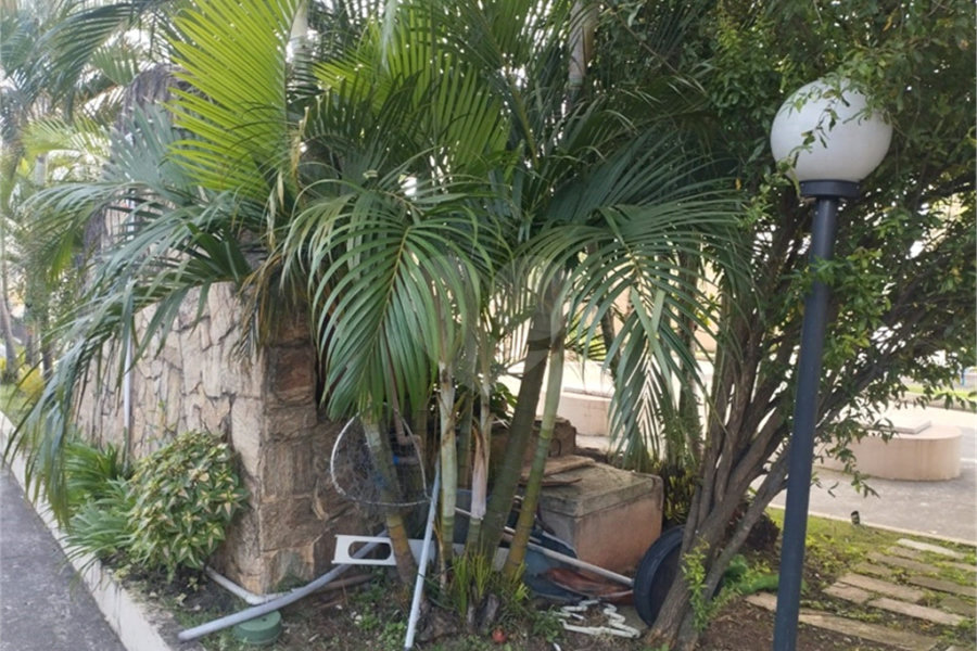 Apartamento à venda com 2 quartos em Jaçanã, São Paulo, SP